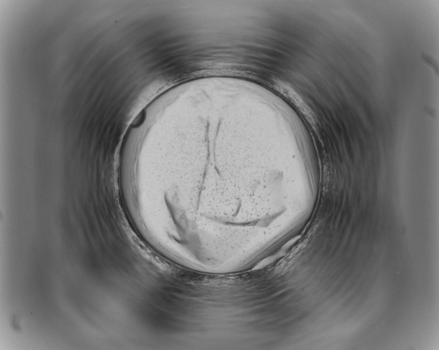X0000096671386200803041212