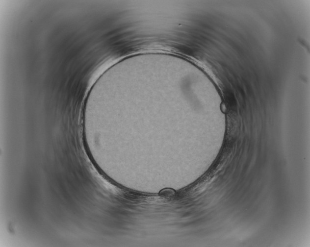 X0000096671387200803041212