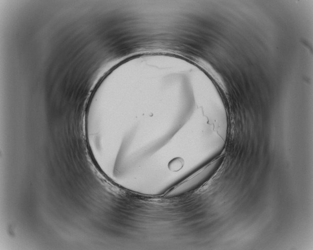 X0000096671388200803041212