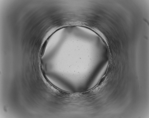 X0000096671389200803041212