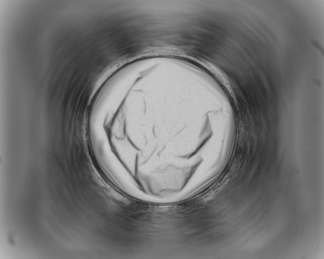 X0000096671390200803041212