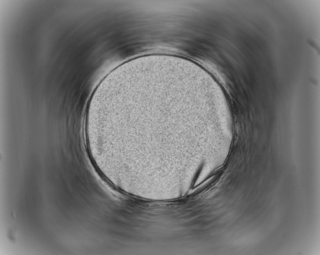 X0000096671391200803041212