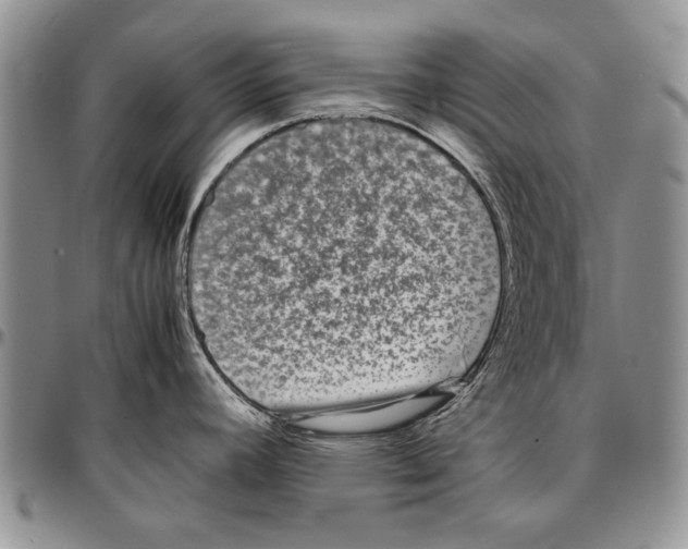 X0000096671392200803041212