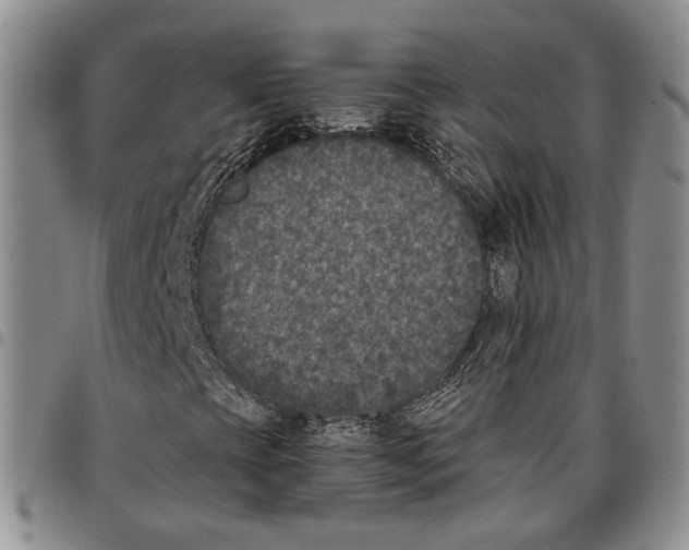 X0000096671393200803041211