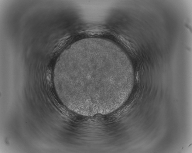 X0000096671396200803041211