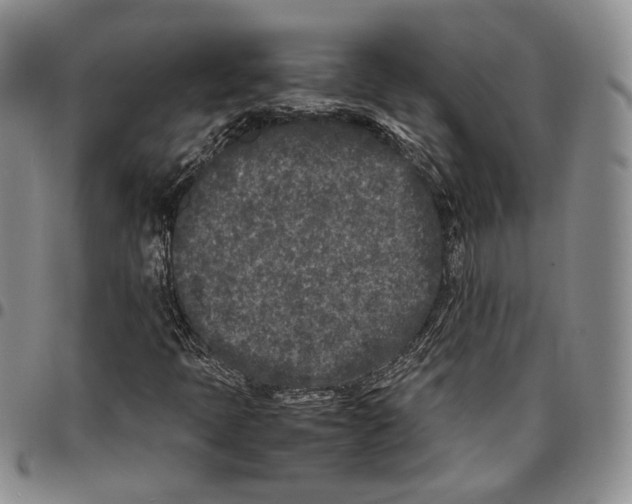 X0000096671397200803041211