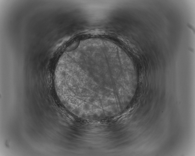 X0000096671398200803041211