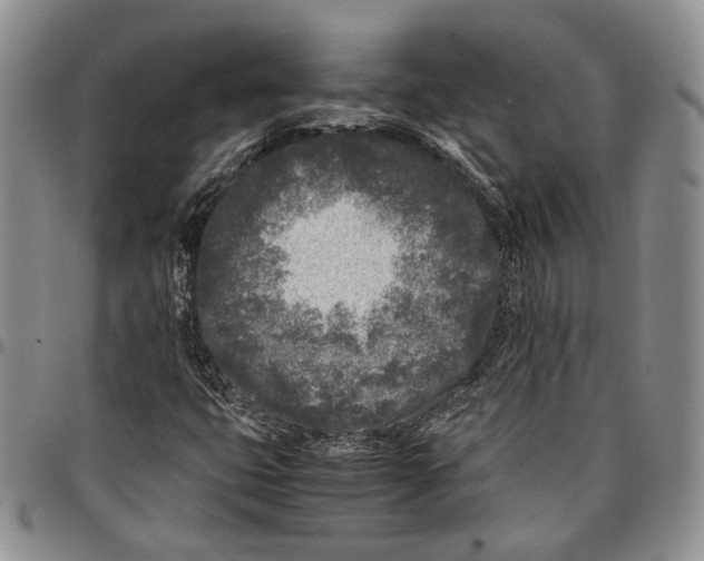 X0000096671399200803041211