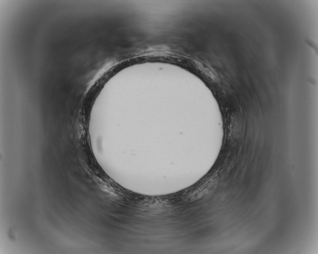 X0000096671400200803041211