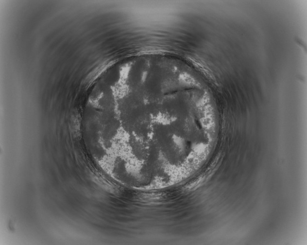 X0000096671401200803041211
