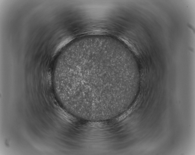 X0000096671402200803041211