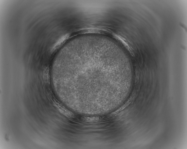 X0000096671403200803041211