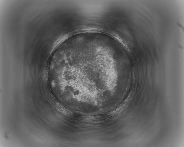 X0000096671405200803041211