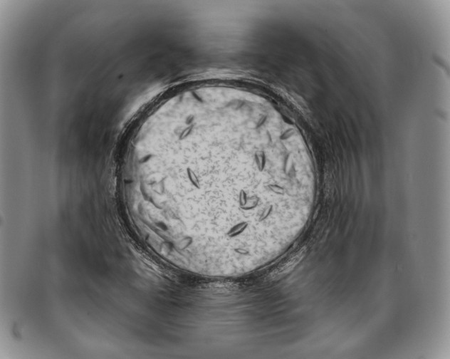 X0000096671406200803041211
