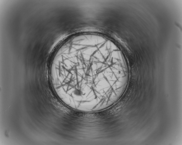 X0000096671408200803041211