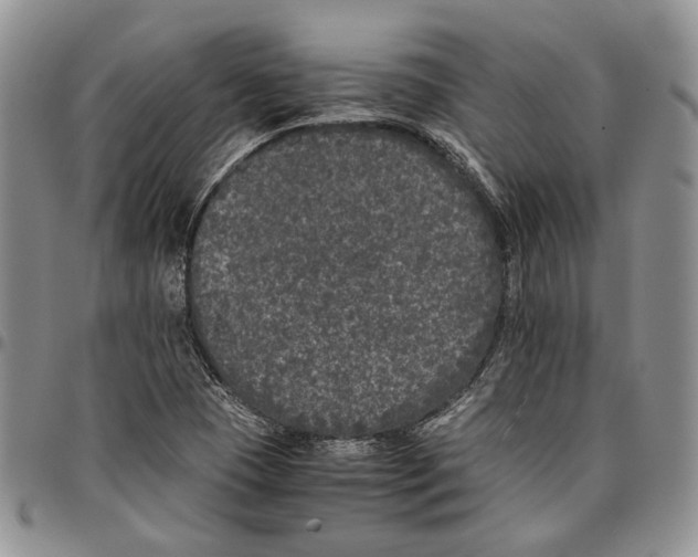 X0000096671409200803041211