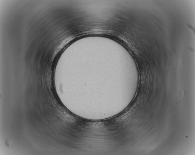 X0000096671410200803041211
