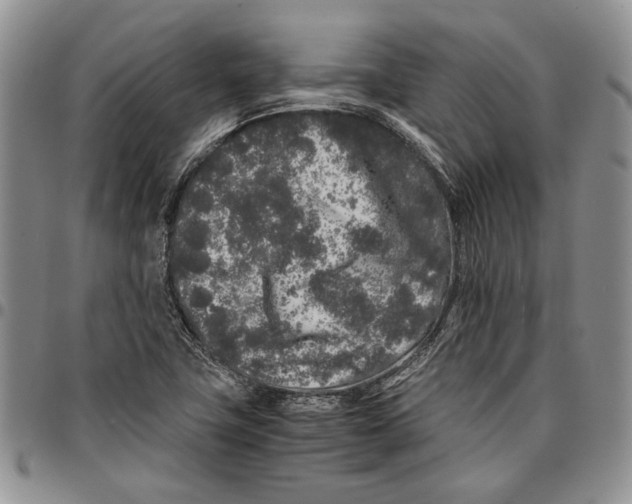X0000096671411200803041211