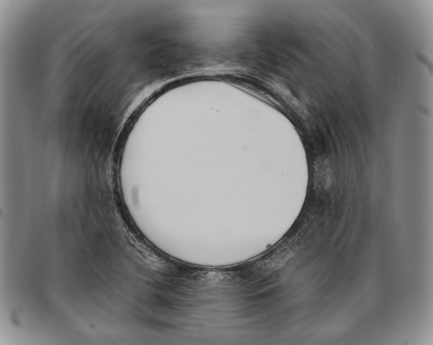 X0000096671412200803041212