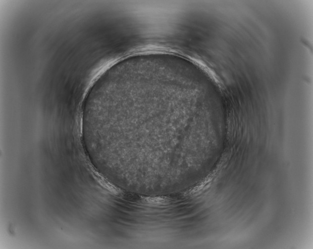 X0000096671413200803041212