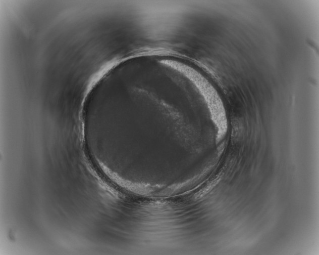 X0000096671414200803041212