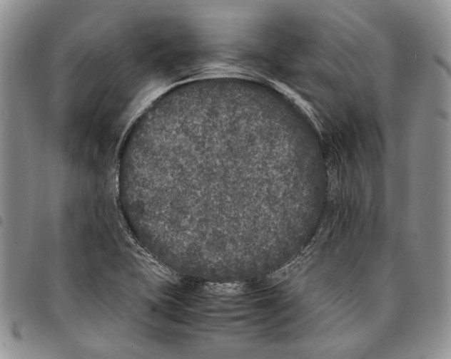 X0000096671415200803041212