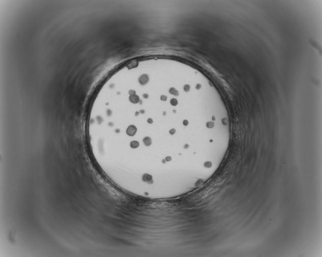 X0000096671416200803041212