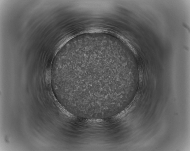 X0000096671417200803041212