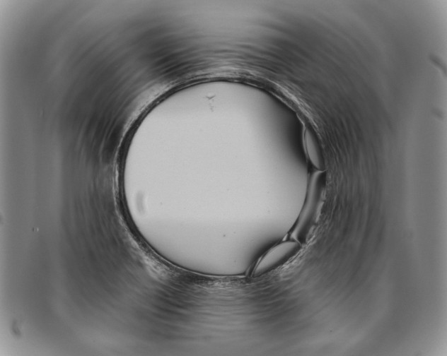 X0000096671418200803041212