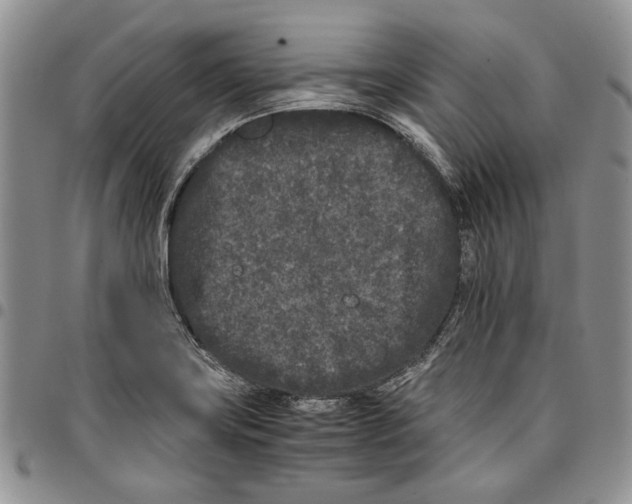 X0000096671419200803041212