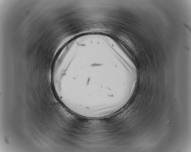 X0000096671420200803041212