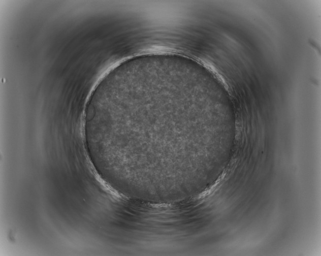 X0000096671421200803041212