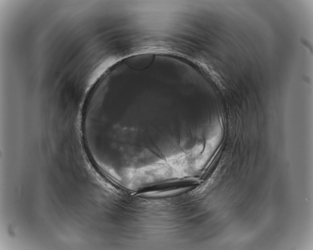 X0000096671422200803041212
