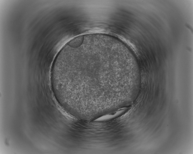 X0000096671423200803041212