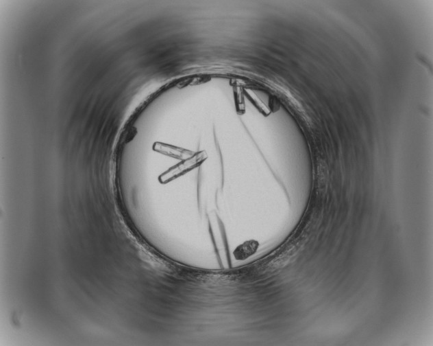 X0000096671424200803041212