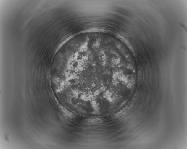 X0000096671425200803041212