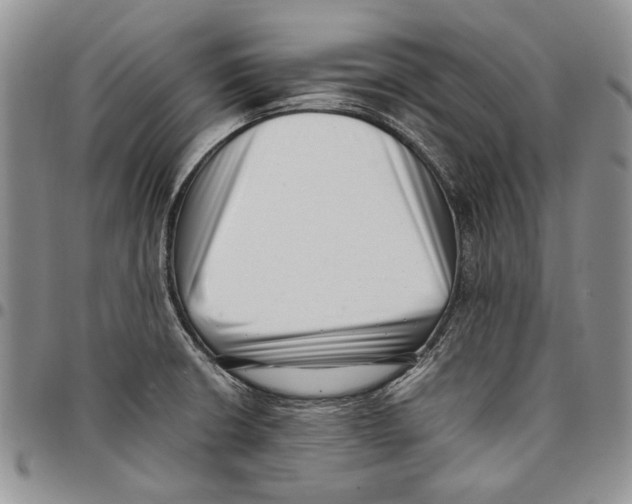 X0000096671426200803041212