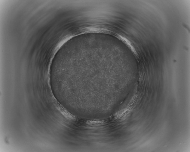 X0000096671427200803041212