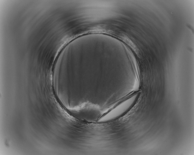 X0000096671428200803041212