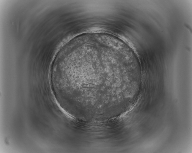 X0000096671429200803041212