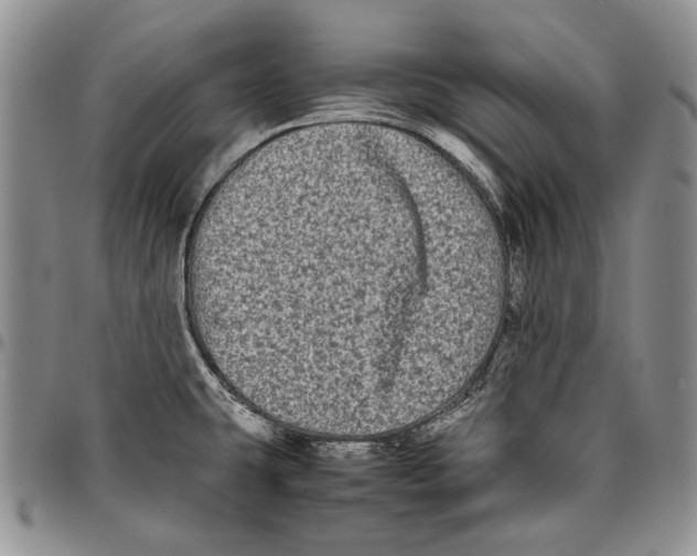 X0000096671431200803041212
