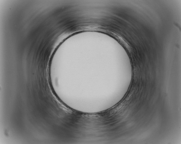 X0000096671432200803041212