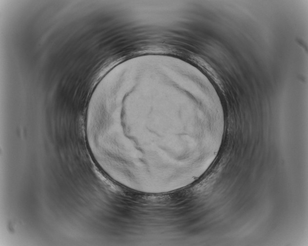 X0000096671433200803041212