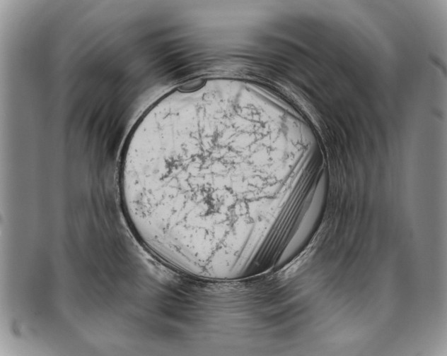 X0000096671434200803041212