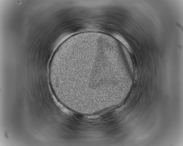 X0000096671439200803041212