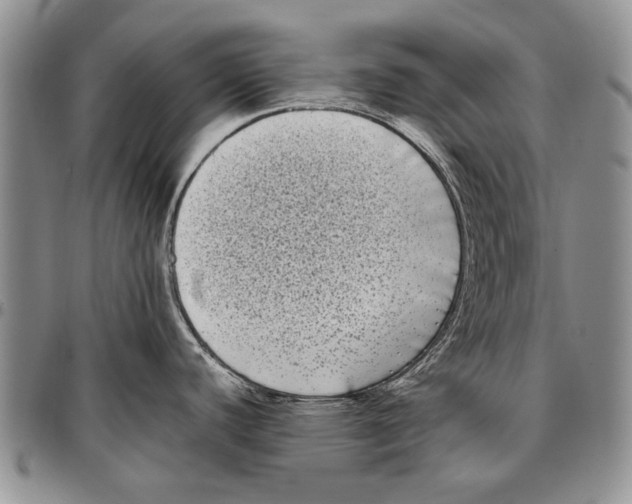 X0000096671440200803041212