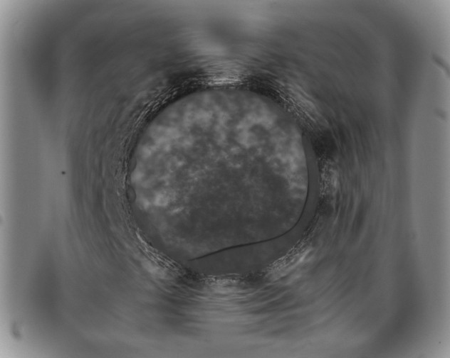 X0000096671441200803041211