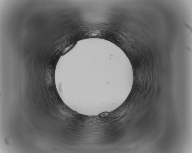 X0000096671442200803041211