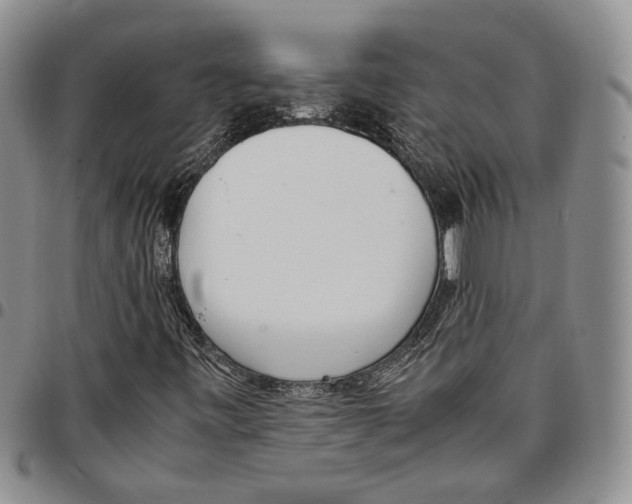 X0000096671443200803041211