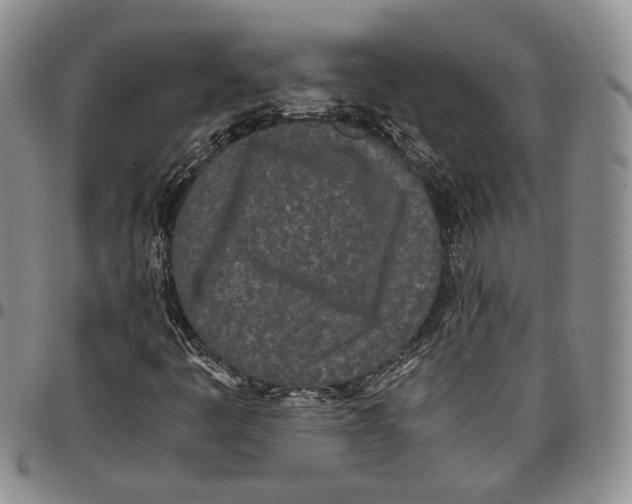 X0000096671445200803041211